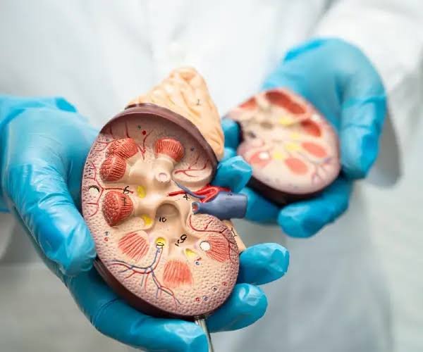 Kidney Specialist & Nephrologist in Thane